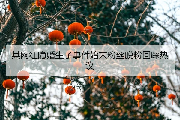 mou-wang-hong-yin-hun-sheng-zi-shi-jian-shi-mo-fen-si-tuo-fen-hui-cai-re-yi-2-566.jpg